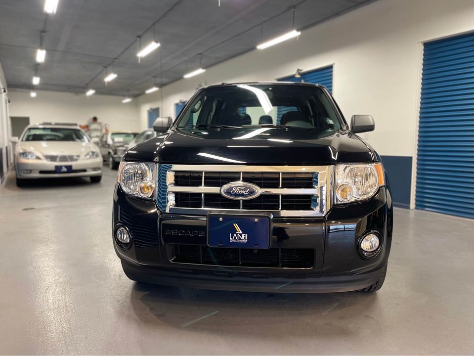 2010 FORD ESCAPE XLT